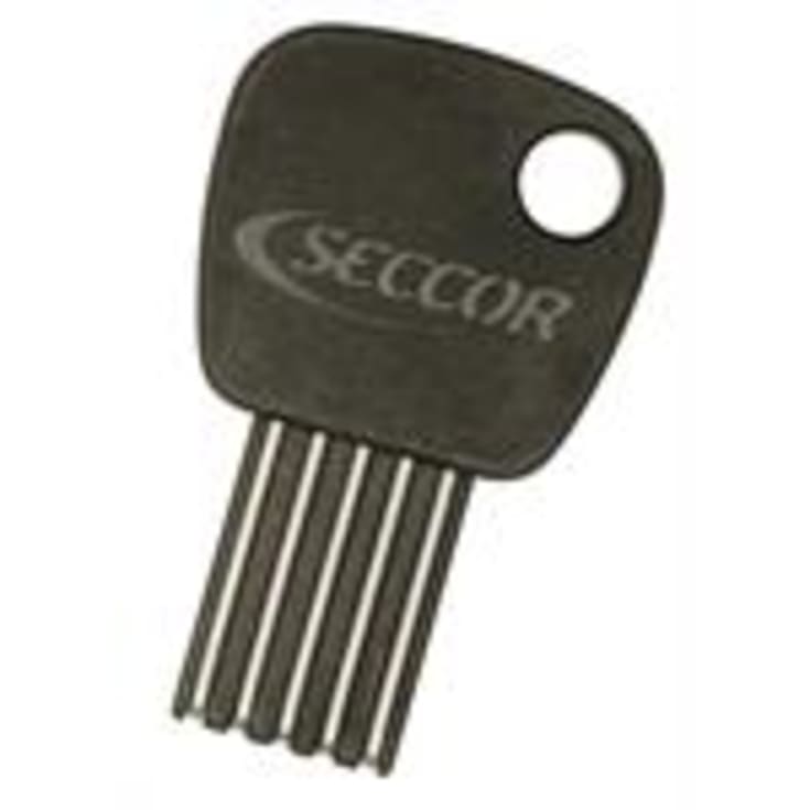 Chip nøgle til Codeloxx