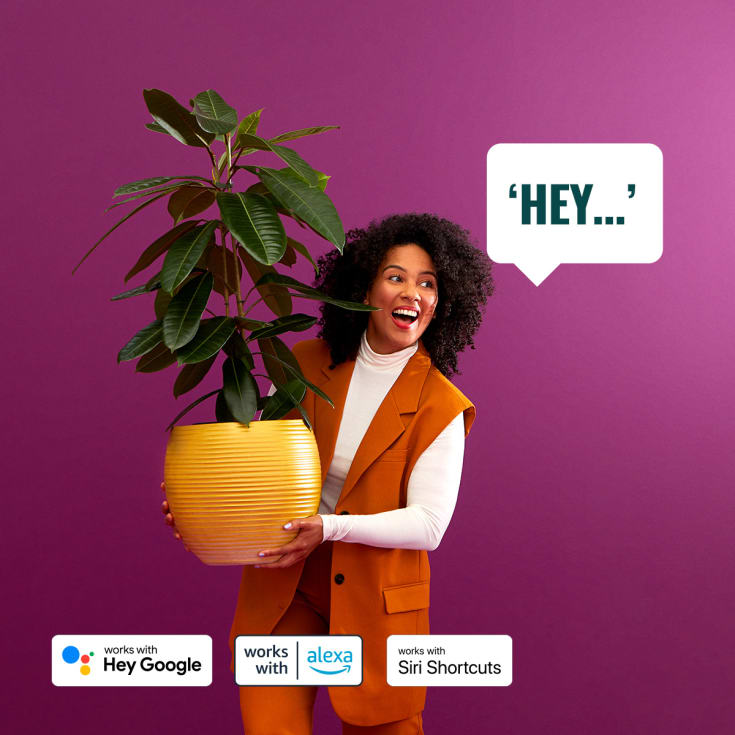 Wiz Elpas udendørs væglampe, farveskift + hvid