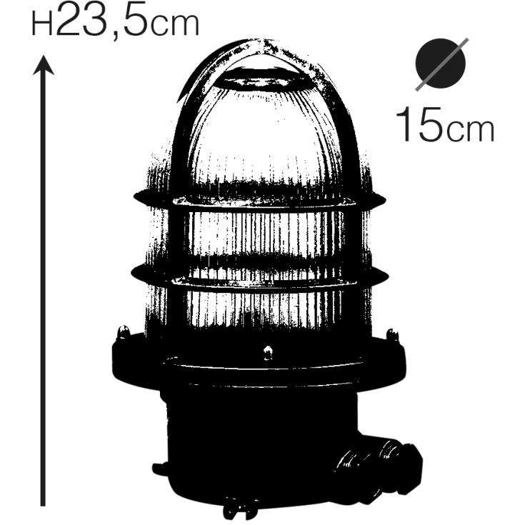 Andromeda 221 udendørs loftlampe