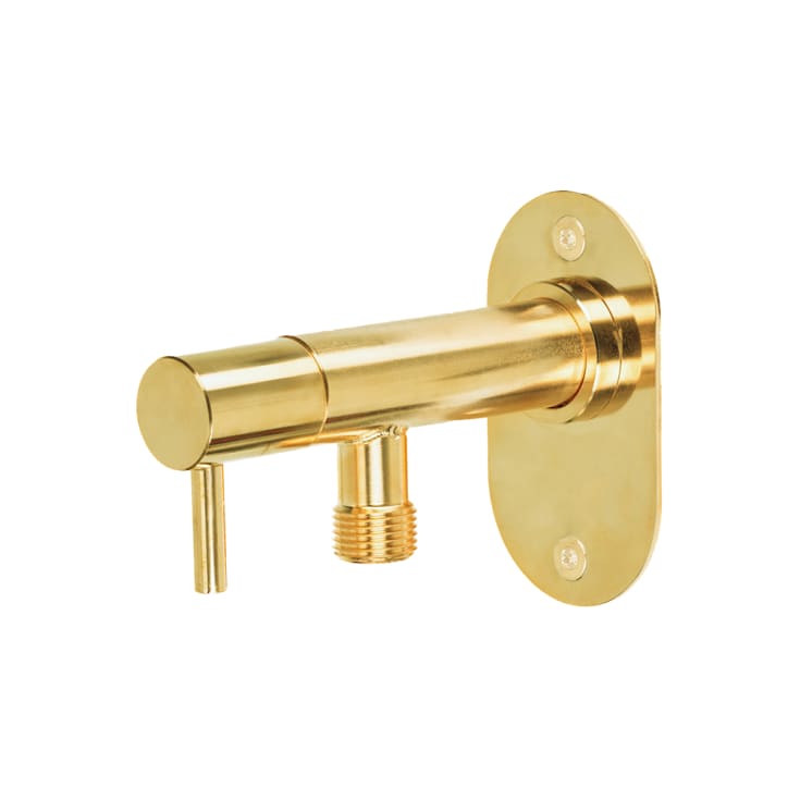 Frostline Eqi Wall udendørshane, til 15-35 cm væg, messing