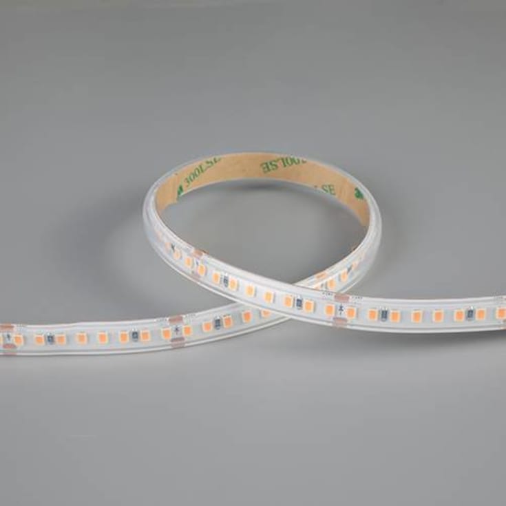 P-Cell 50M Strip 24V IP65 4,8W/940 580lm/m b:10mm klip:50mm