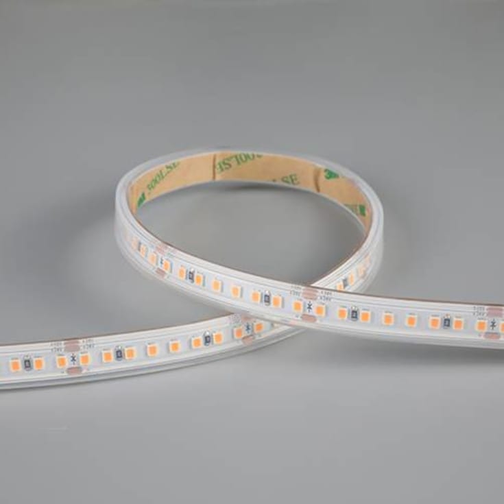 P-Cell 50M Strip 24V IP65 9,6W/927 960lm/m b:10mm klip:50mm