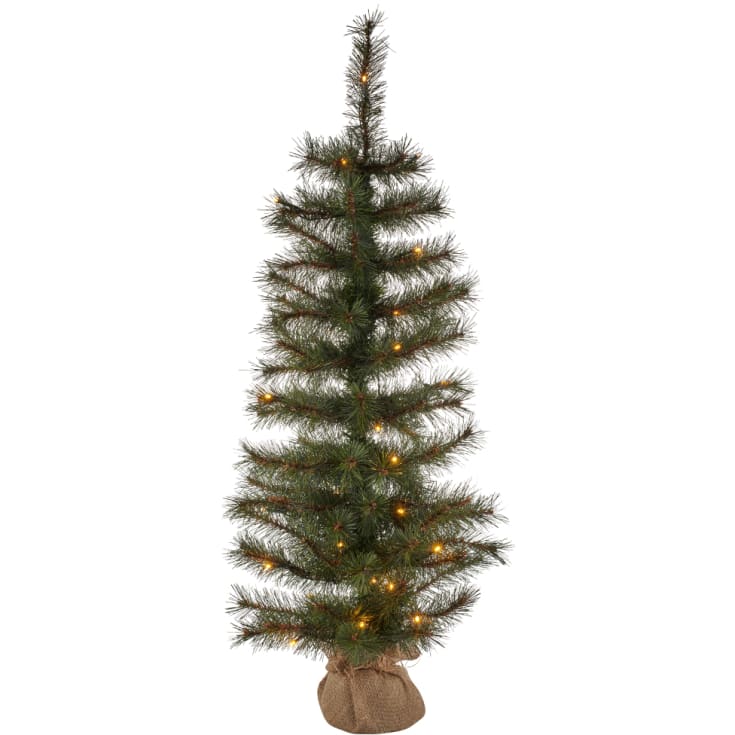 Sirius Alvin Træ, H90cm, 40L, Grøn