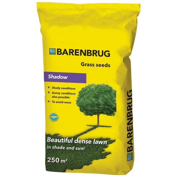 Barenbrug Shadow græsfrø, 5 kg