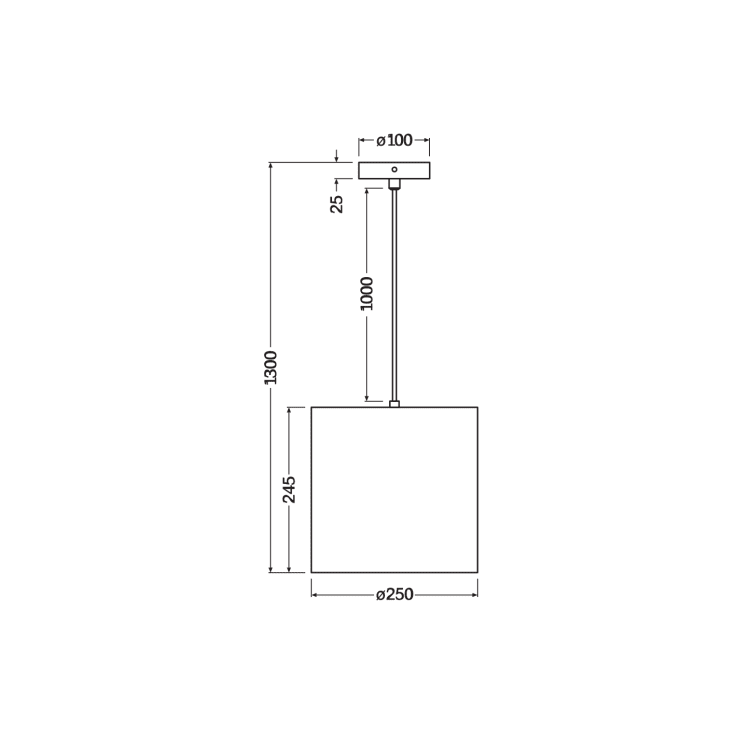 Ledvance Decor Cardboard pendel, rund