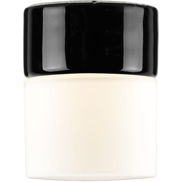 Loft- og Vægarmatur Opus 100/125 sort, mat opal LED 8W 2700K