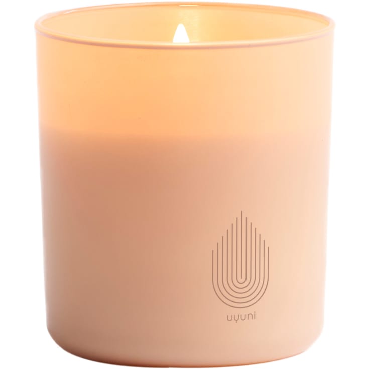 4 st Uyuni LED stearinljus, beige