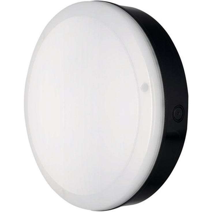 Ledvance Surface Bulkhead vegglampe utendørs, svart, 4000K, Ø25 cm