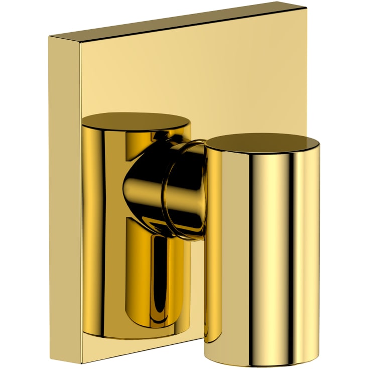 Hansgrohe FixFit Fine E slangeuttak, polert guld