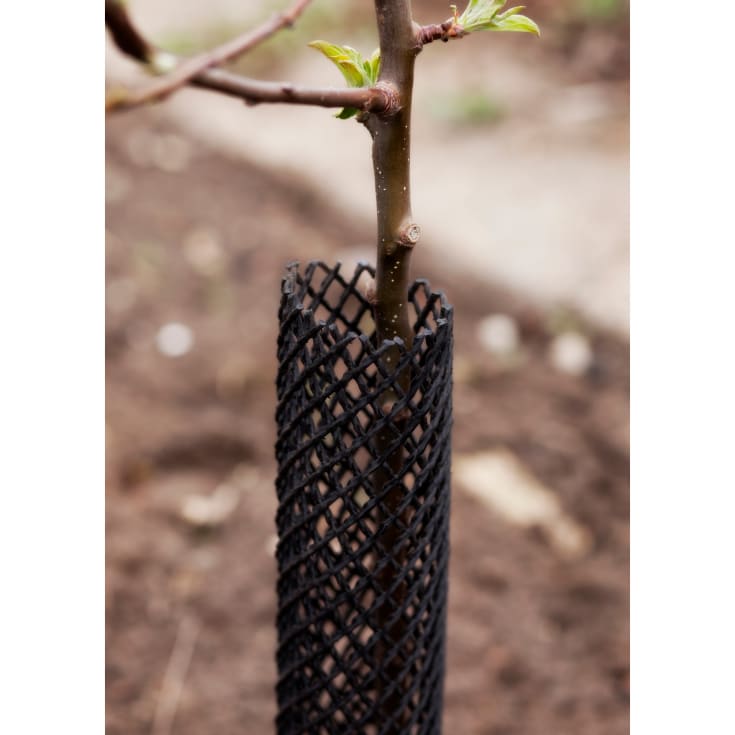 Treeguard træbeskyttelsesnet, sort, 62 x 600 mm