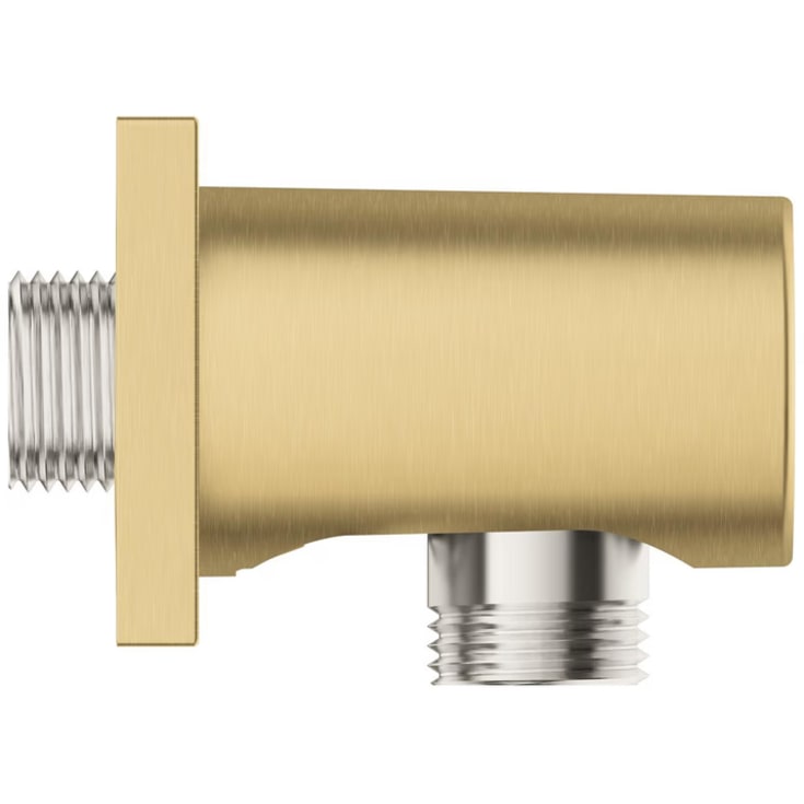 Grohe Rainshower slanguttag, borstad mässing