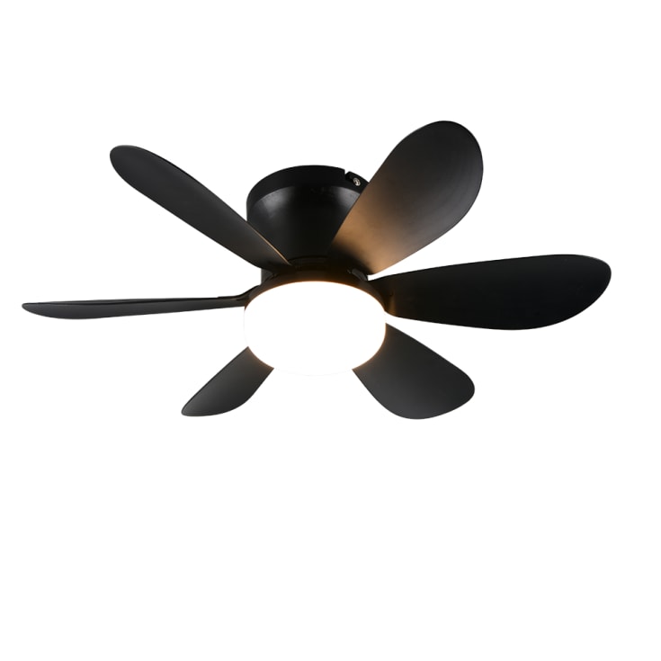 Trio Lighting Lund takvifte med lys, sort