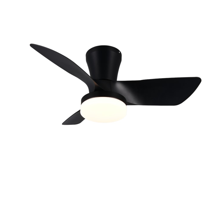 Trio Lighting Randers takvifte med lys, sort