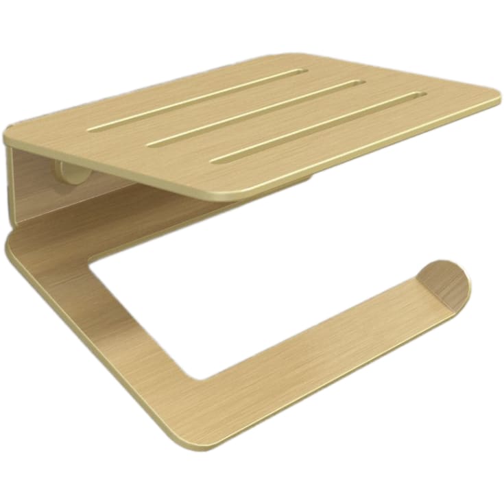Aloop Y toiletrulleholder, børstet guld