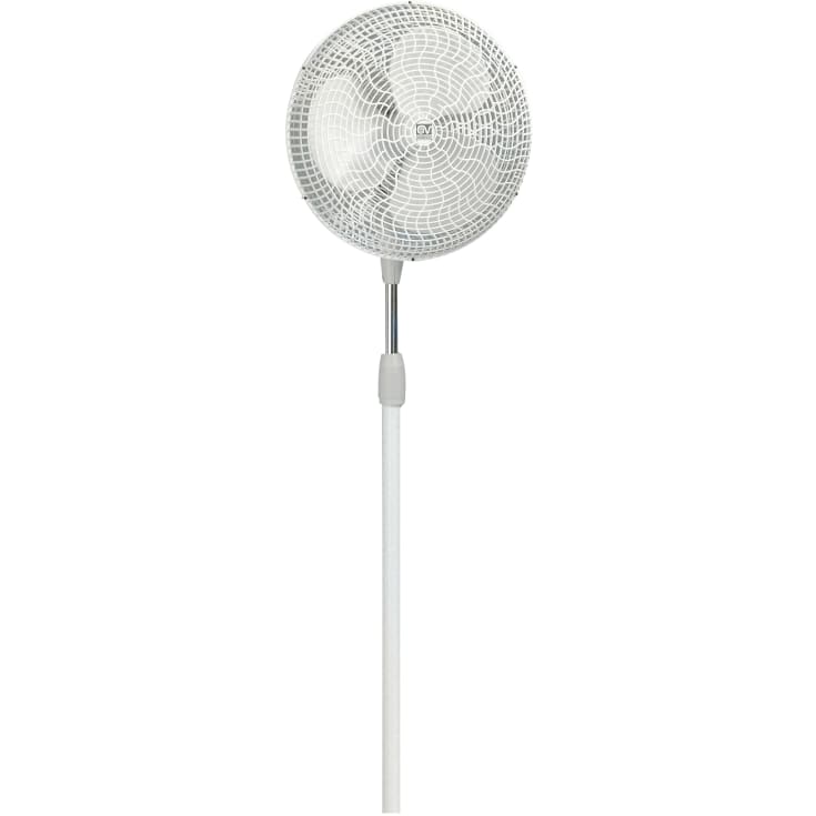 GULVVIFTE GORDON C40