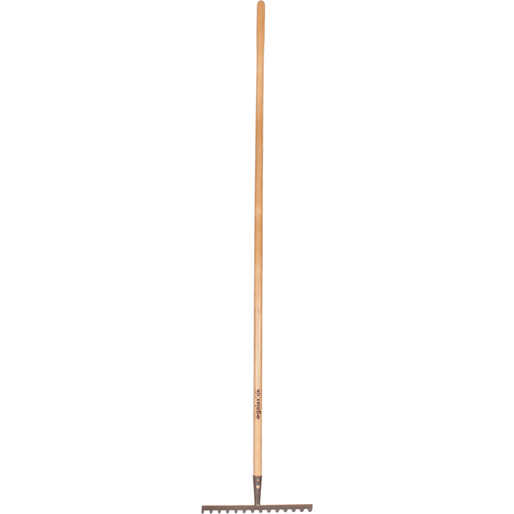 Galax kratta, 14-tand/36,0 cm