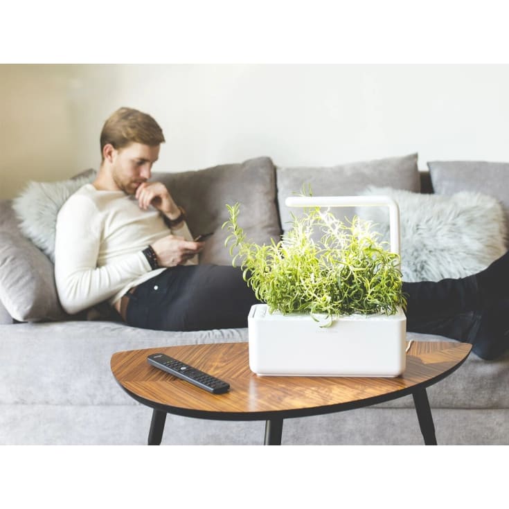 Click and Grow Smart Garden startsæt, hvid