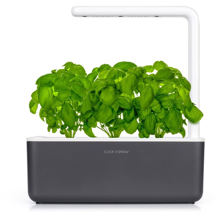 Click and Grow Smart Garden 3, grå