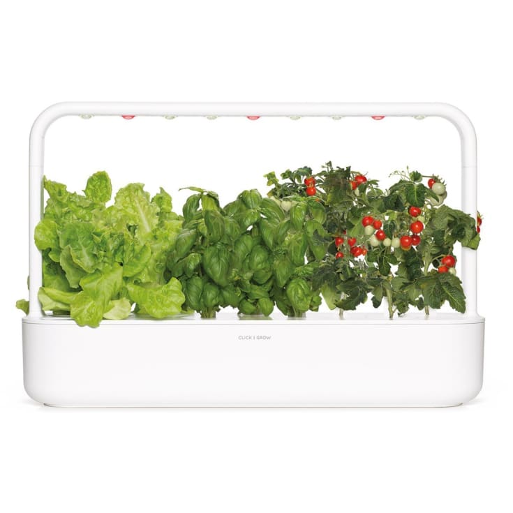 Click and Grow Smart Garden 9, grå