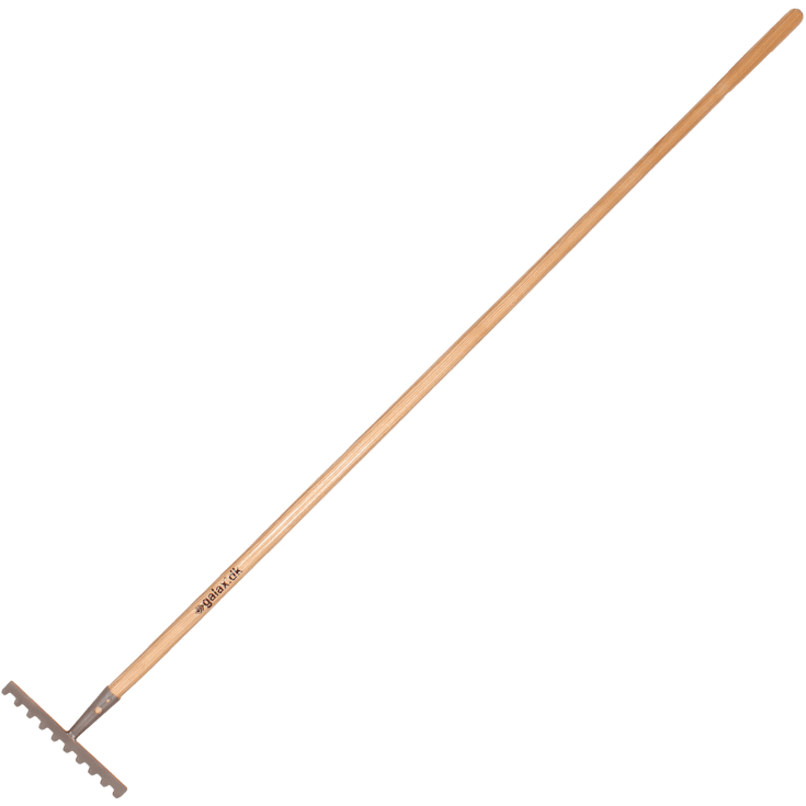 Galax kratta, 10-tand/25,2 cm