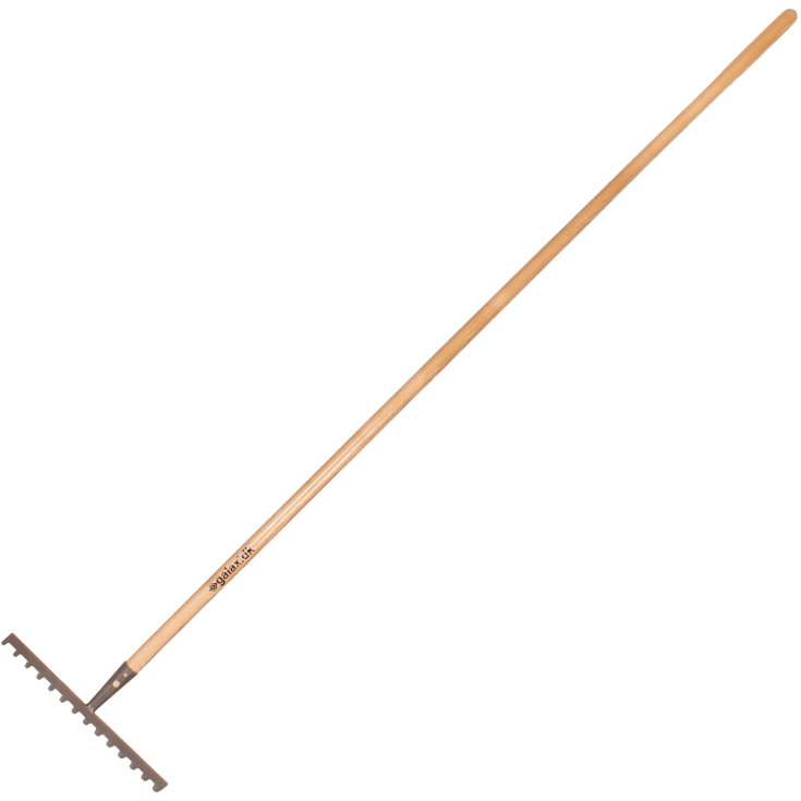 Galax kratta, 14-tand/36,0 cm