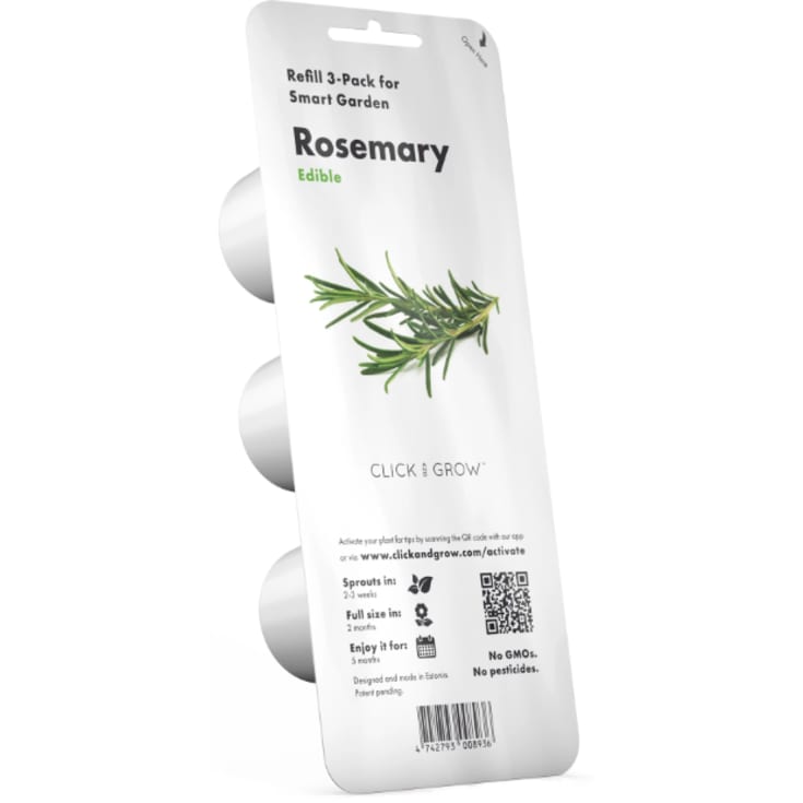 Click and Grow rosmarin - 3 stk