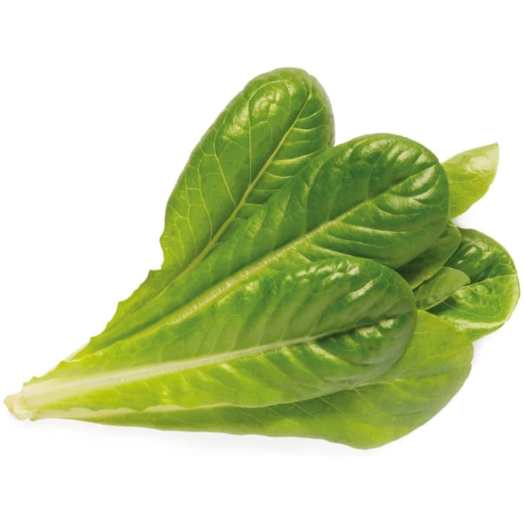 Click and Grow romaine salat - 3 stk