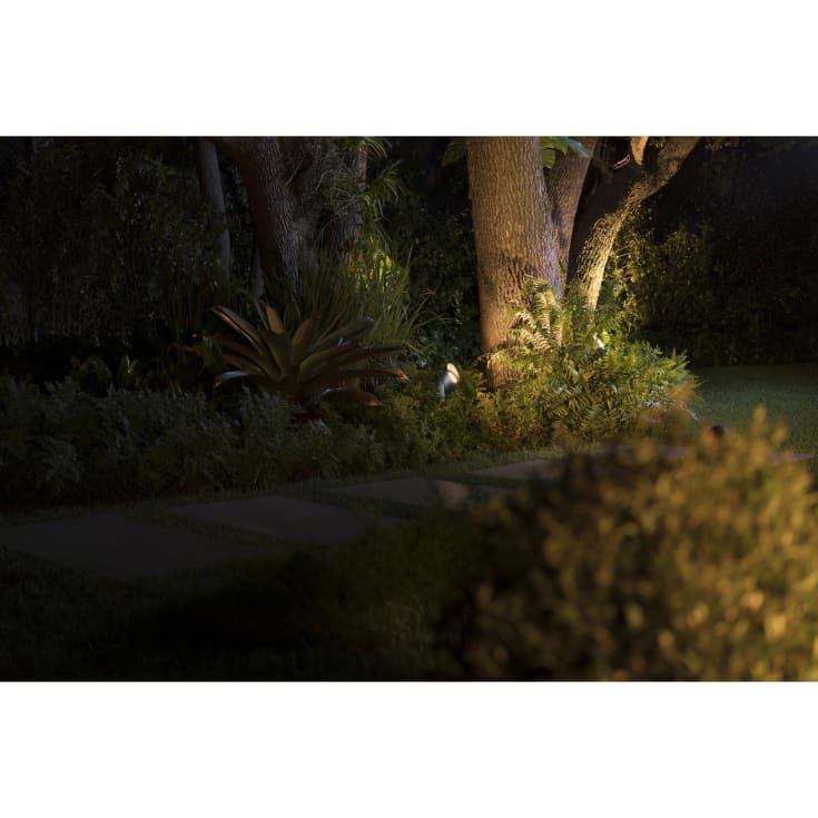 Philips Hue Lily XL hagespot