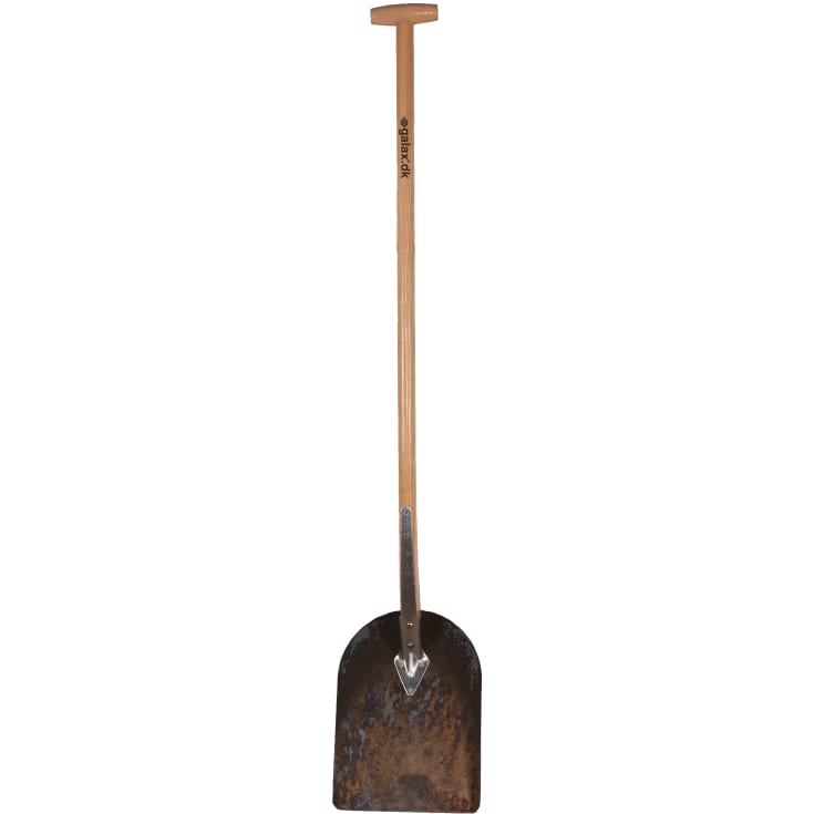 Galax asfaltspade, liten