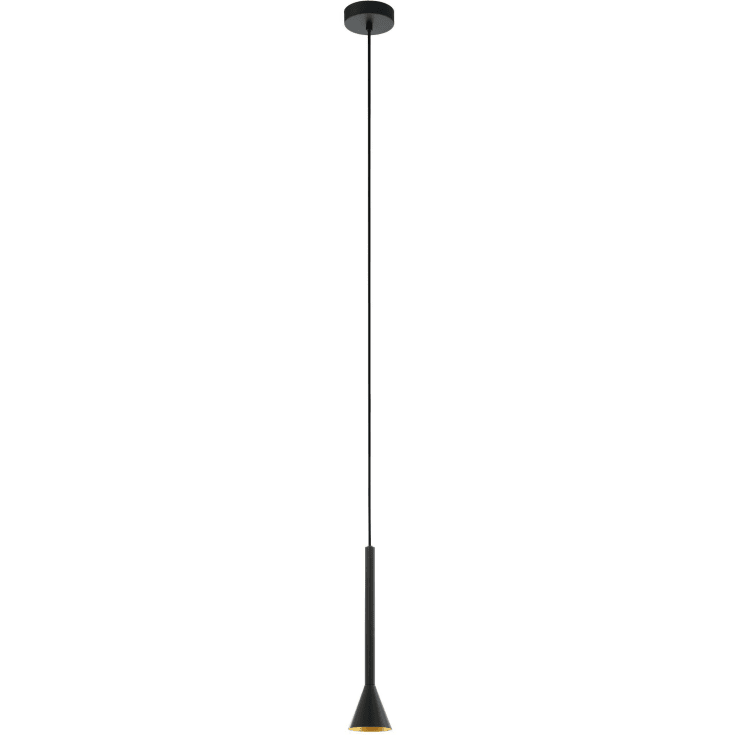 Eglo Cortaderas pendellampa