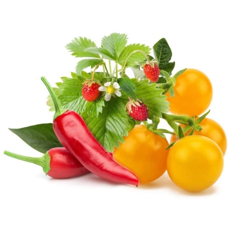 Click and Grow Smart Garden Refill 9-pak Fruit and Veggie Mix