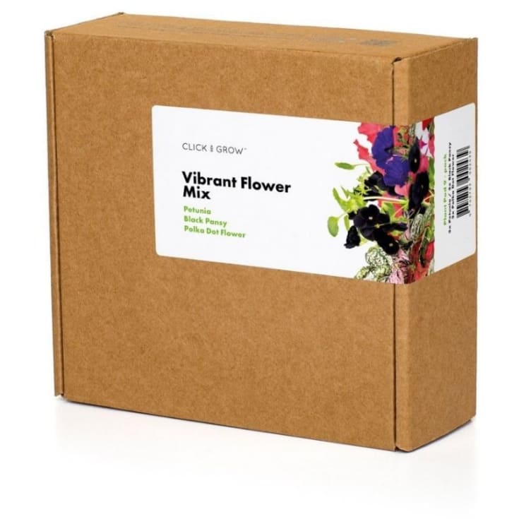 Click and Grow Smart Garden Refill 9-pak Vibrant Flower Mix