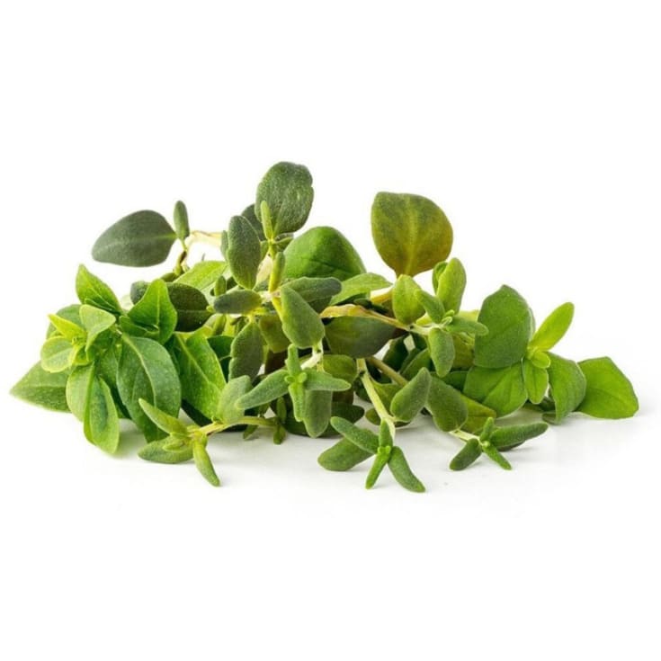 Click and Grow Smart Garden Refill 9-pak Italian Herbs Mix