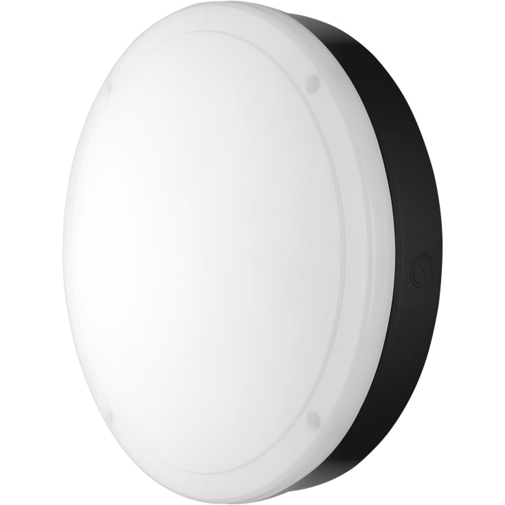 Ledvance Surface Bulkhead vegglampe utendørs, svart, 4000K, Ø30 cm