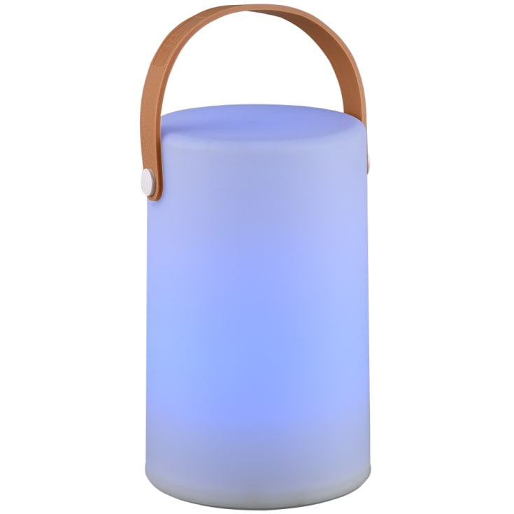 Trio Lighting Aruba genopladelig bordlampe