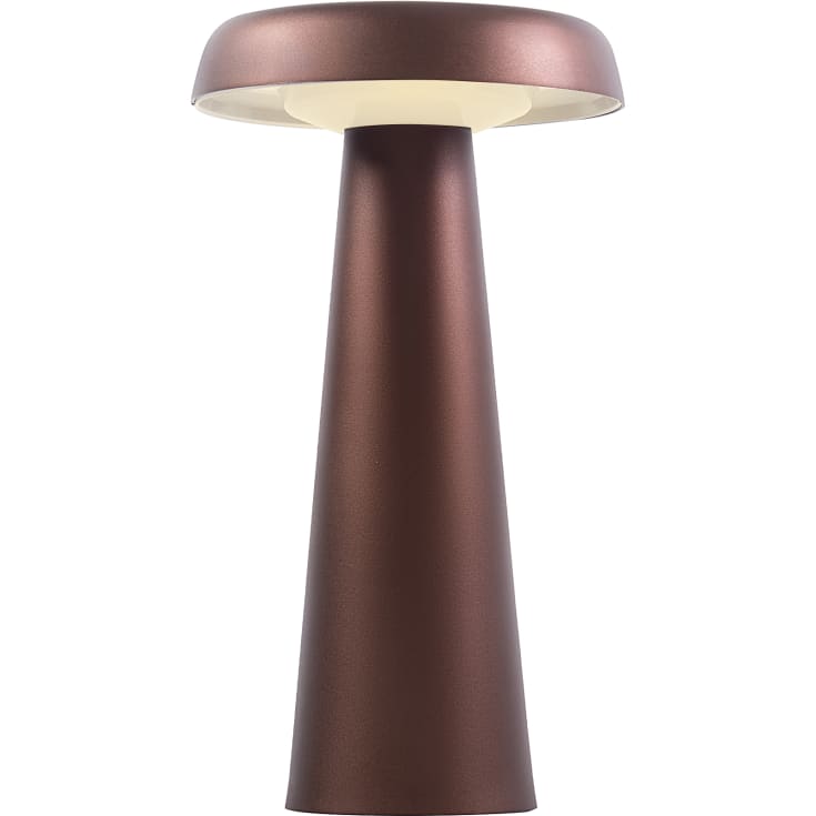 Dftp Arcello uppladningsbar bordslampa, brunerad mässing
