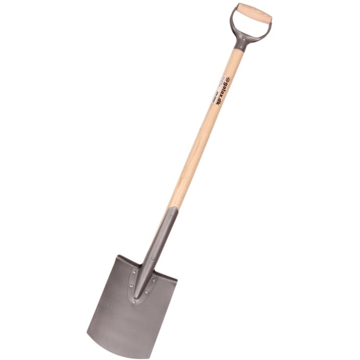 Galax havespade