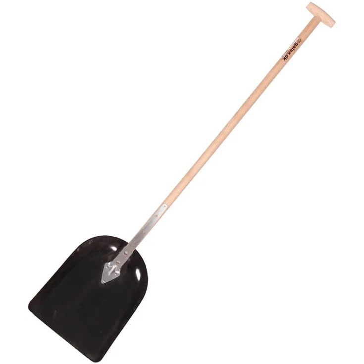 Galax grus/stallspade, liten