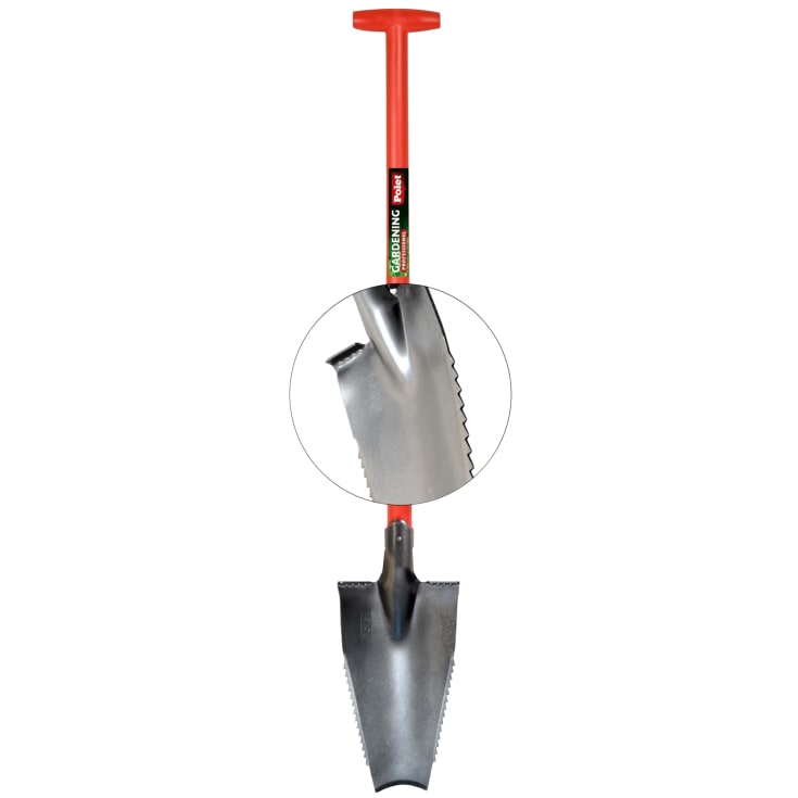 Polet trädrotspade