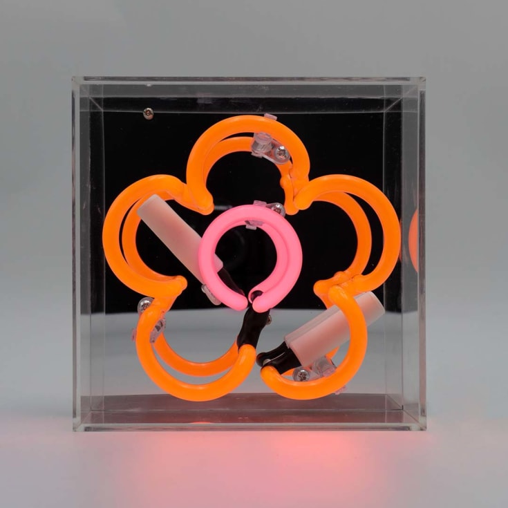 Locomocean Daisy neonskylt, orange