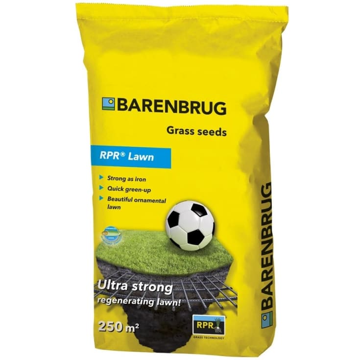 Barenbrug RPR Lawn græsfrø 1 kg