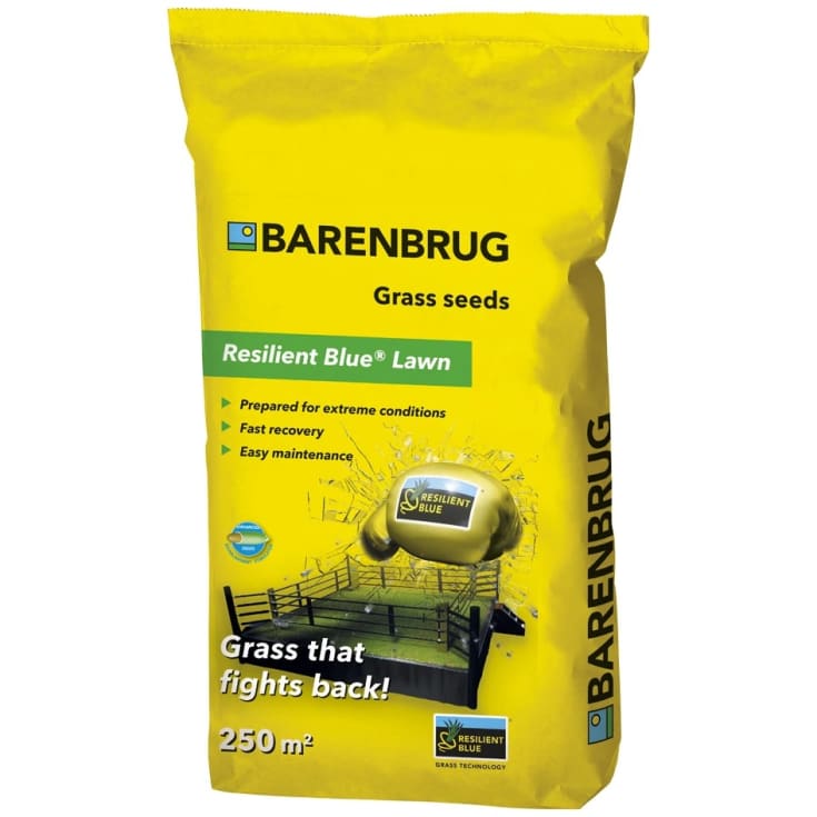 Barenbrug Resilent Blue græsfrø 15 kg