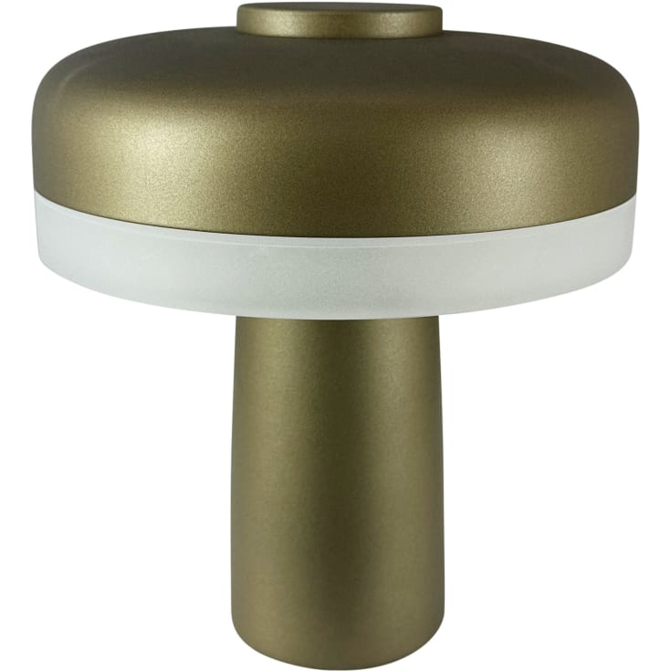 Dyberg Larsen Porter genopladelig bordlampe, grøn