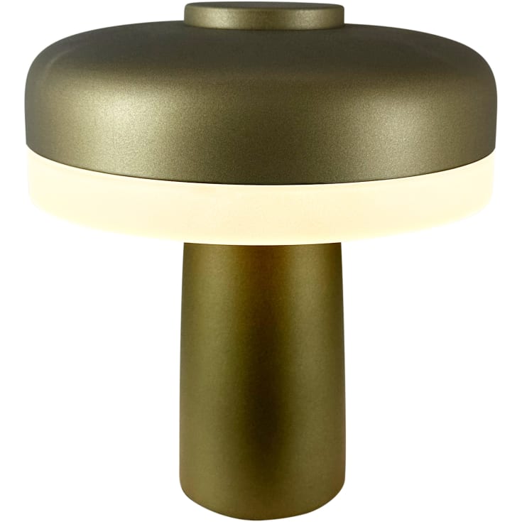 Dyberg Larsen Porter genopladelig bordlampe, grøn