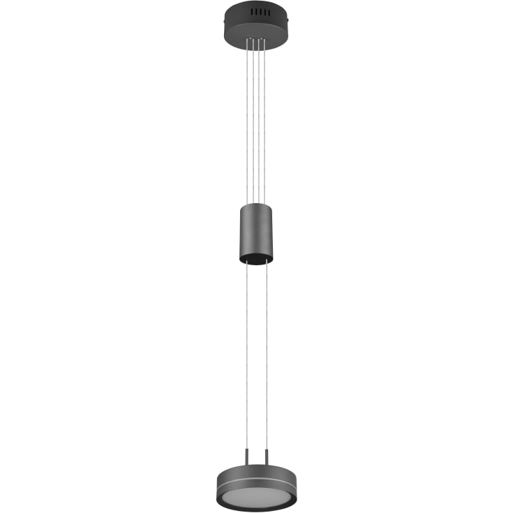 Trio Lighting Franklin pendel