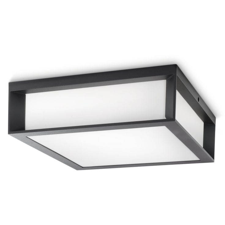 Philips myGarden Skies udendørs loftlampe, antracit