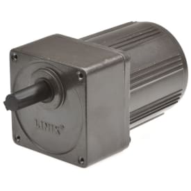 Gear motor YN80 48RPM