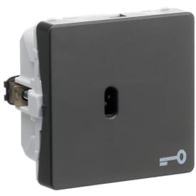 LK Fuga Afbryder med korrespondance for nøgle, 1M, koksgrå