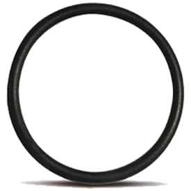Blueseal 110 mm o-ring i viton
