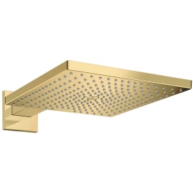 Hansgrohe Raindance brusehoved, 30x30 cm, guld
